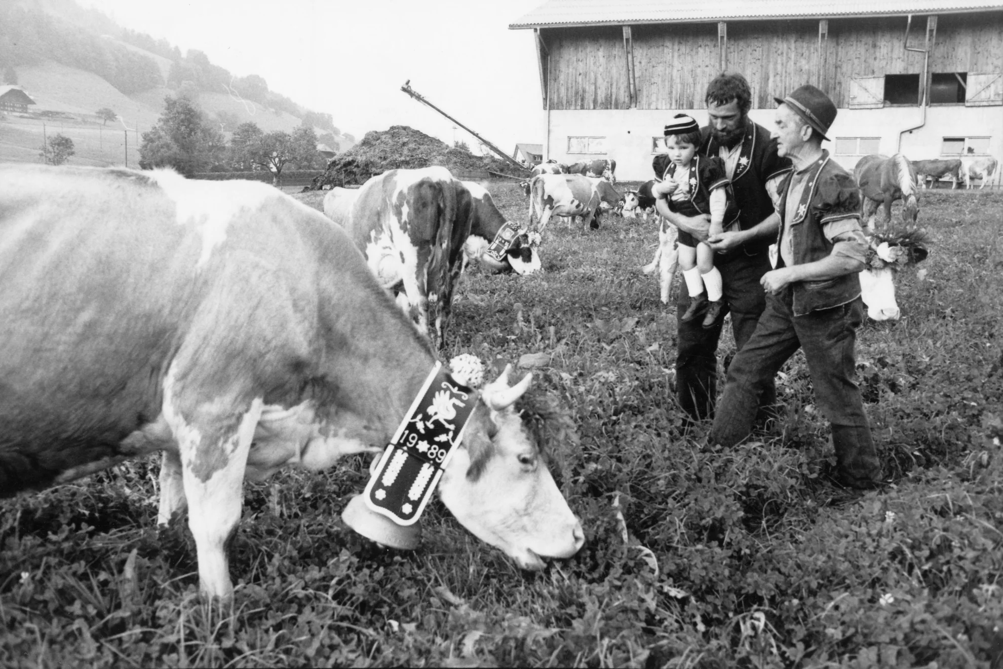 Chronique paysanne en gruyère hero banner image placeholder