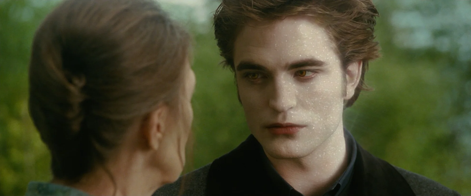 The Twilight Saga hero banner image placeholder
