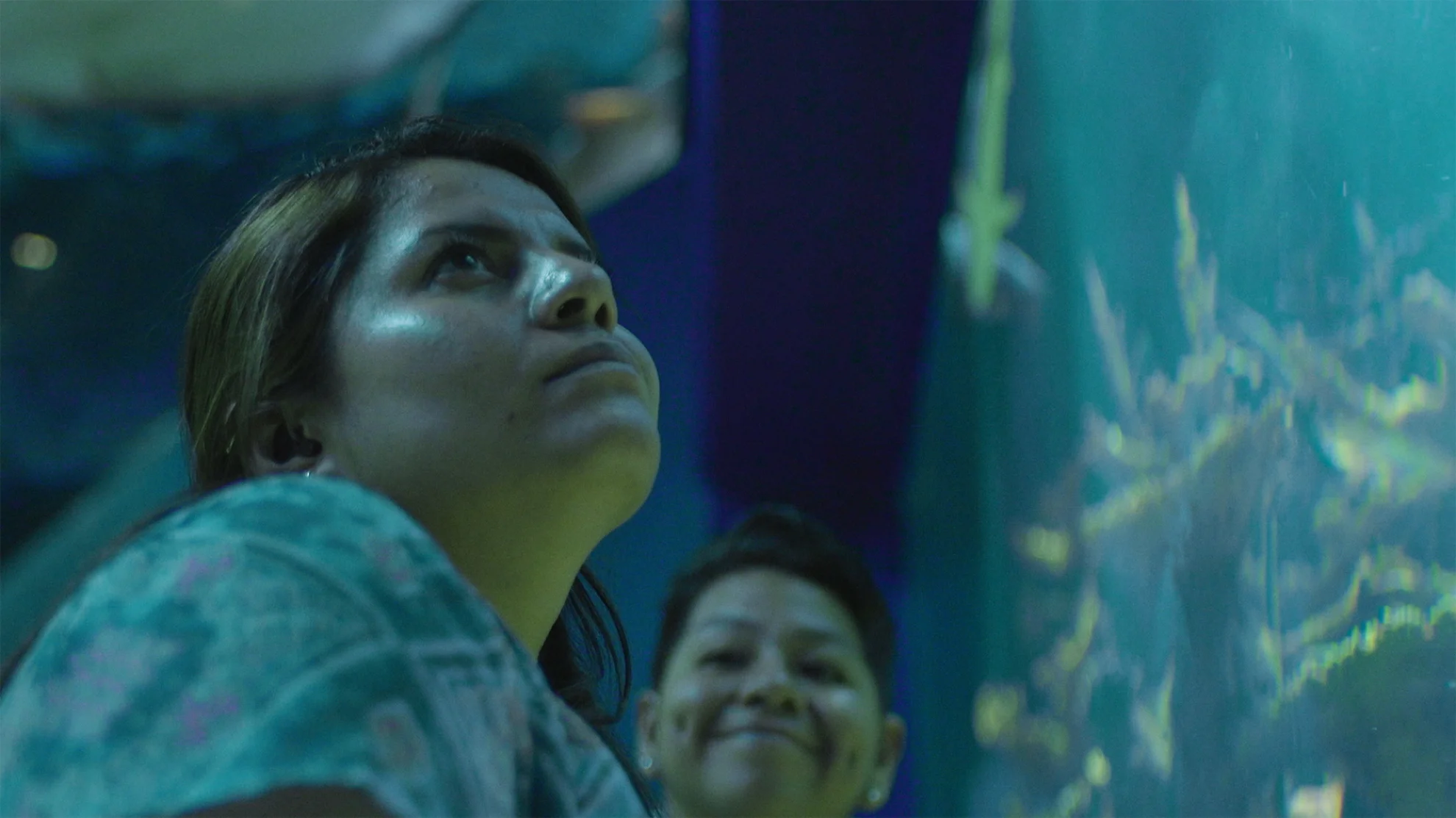 El silencio de mis manos hero banner image placeholder