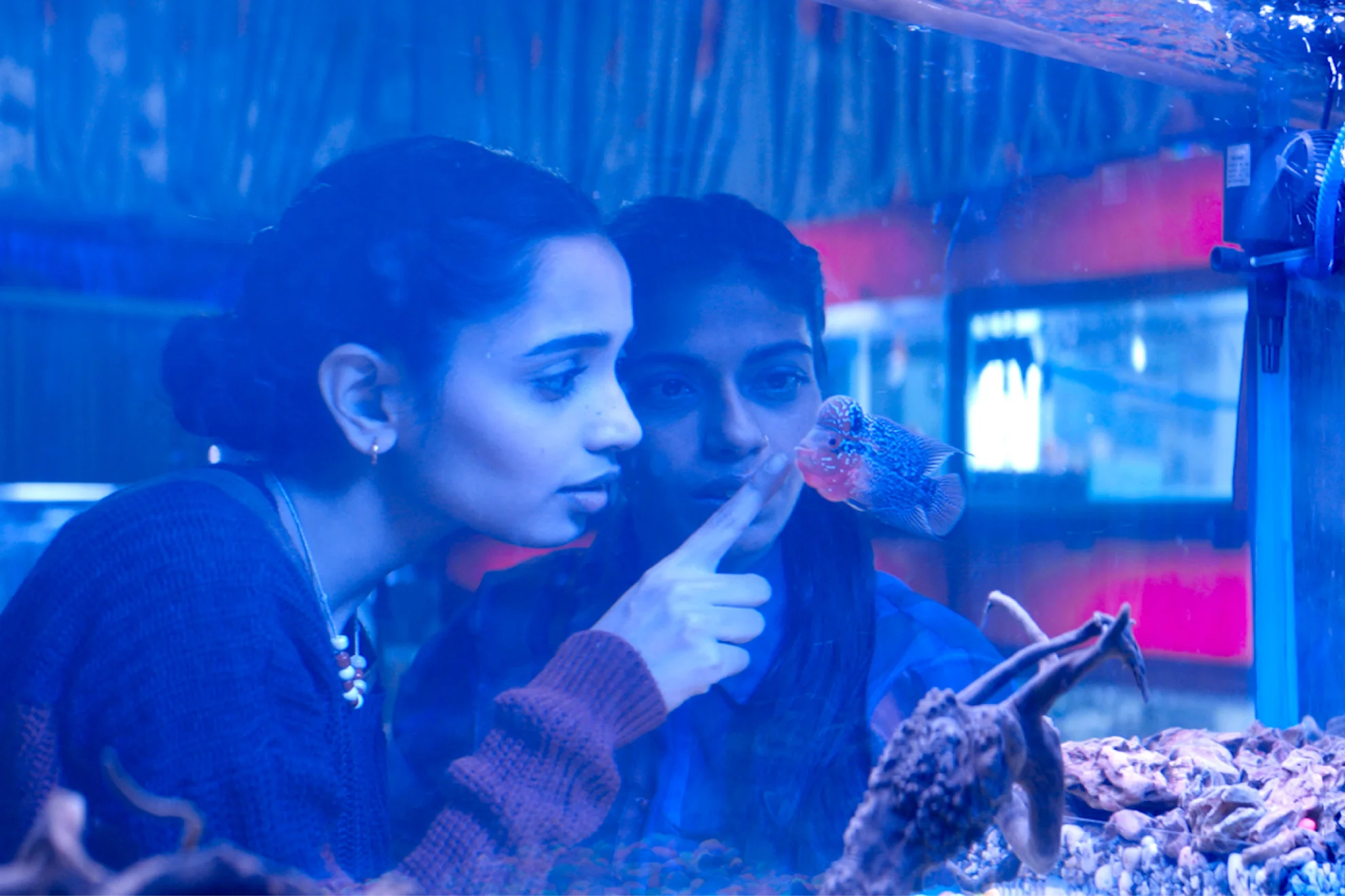 The Shameless hero banner image placeholder