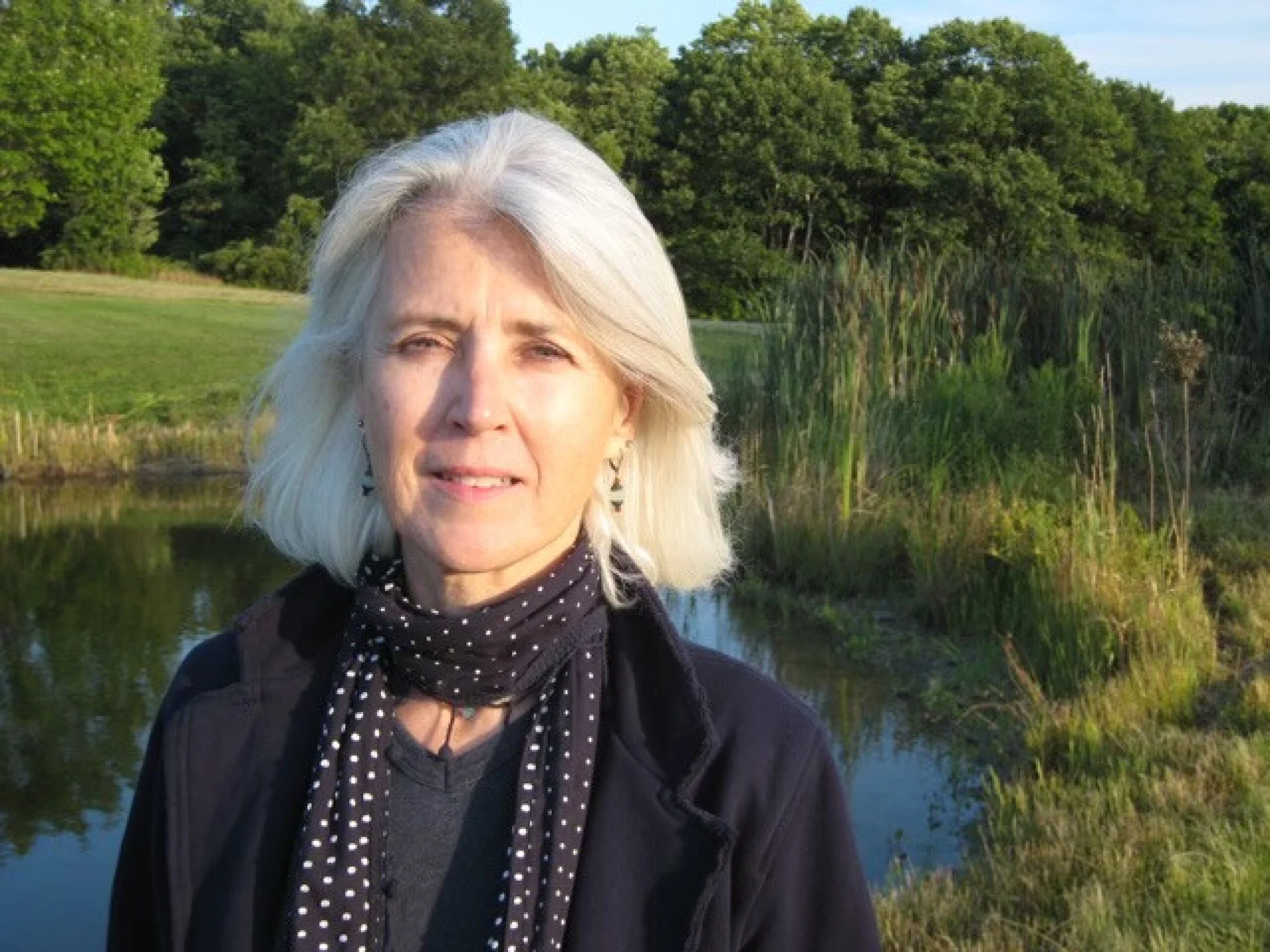 Joan Baez I Am A Noise hero banner image placeholder