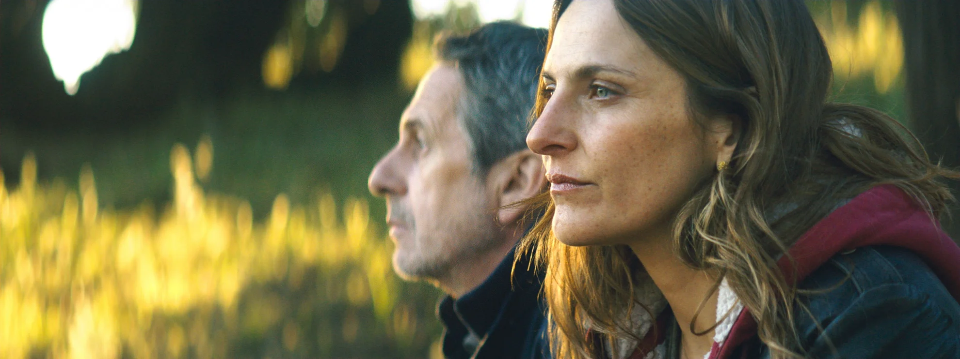 Los Perros hero banner image placeholder