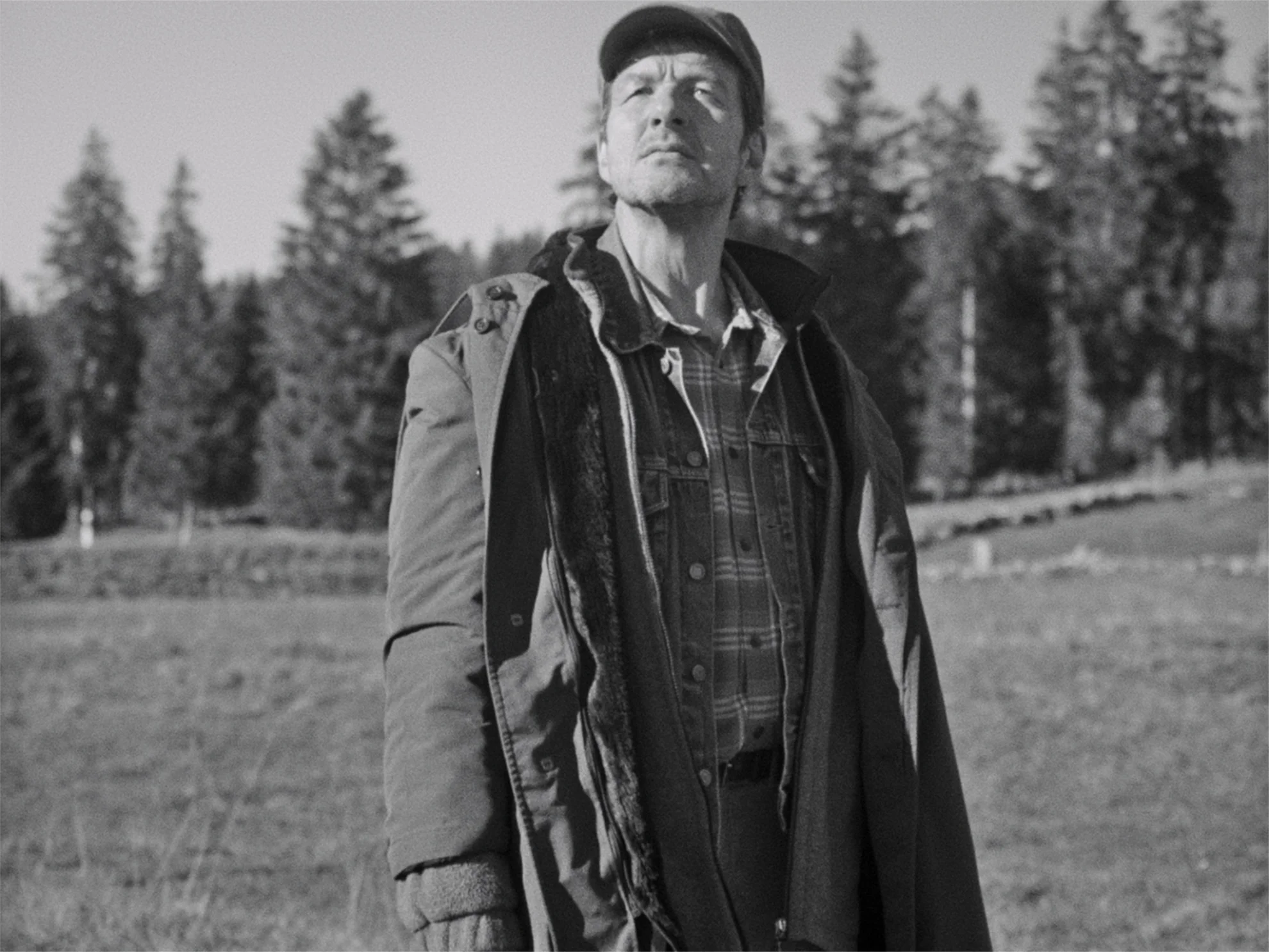 Electric Fields hero banner image placeholder