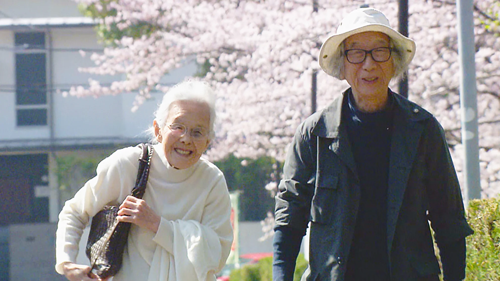 Life Is Fruity hero banner image