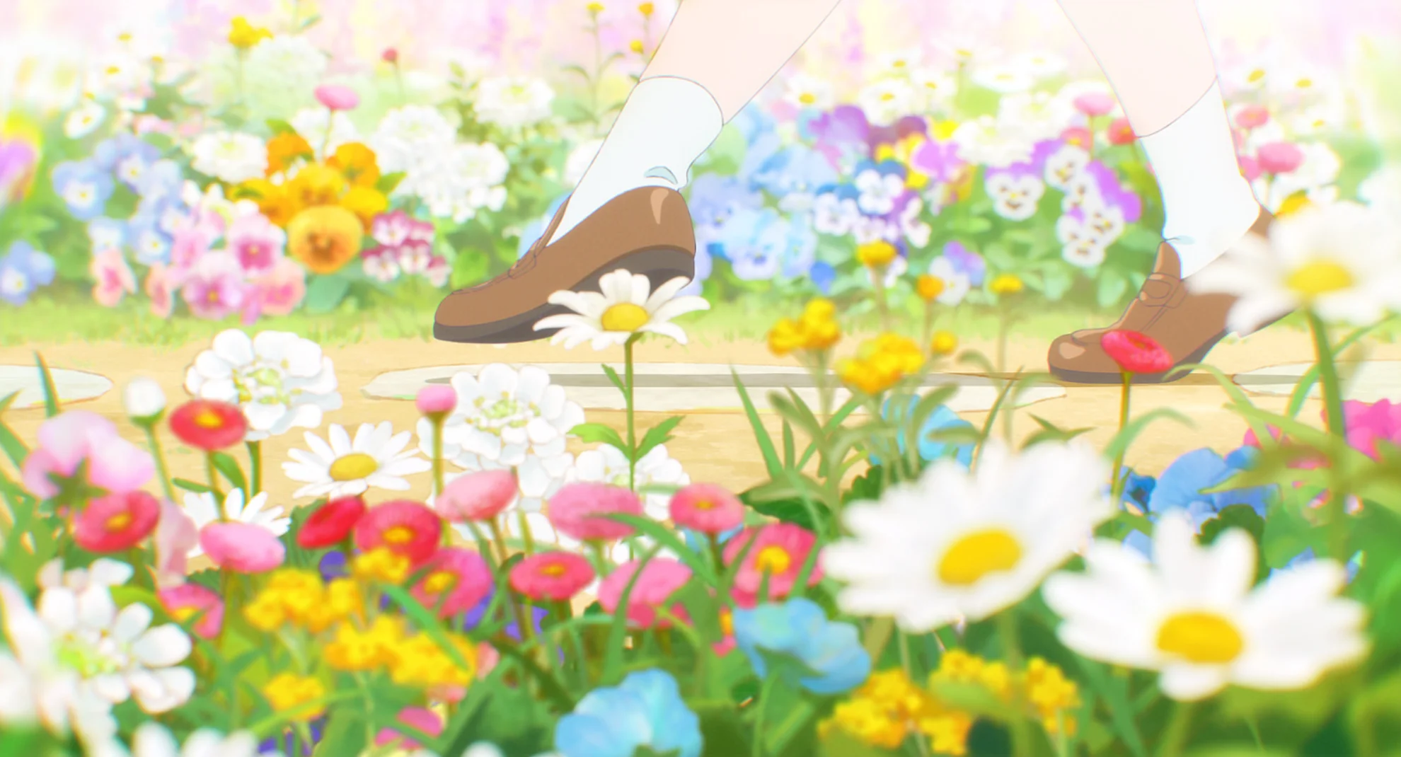 The Colors Within hero banner image placeholder