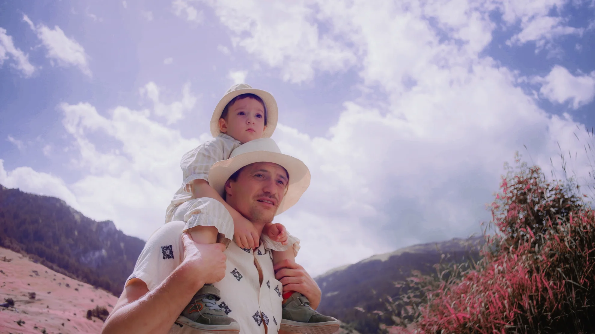 Norma Dorma hero banner image placeholder