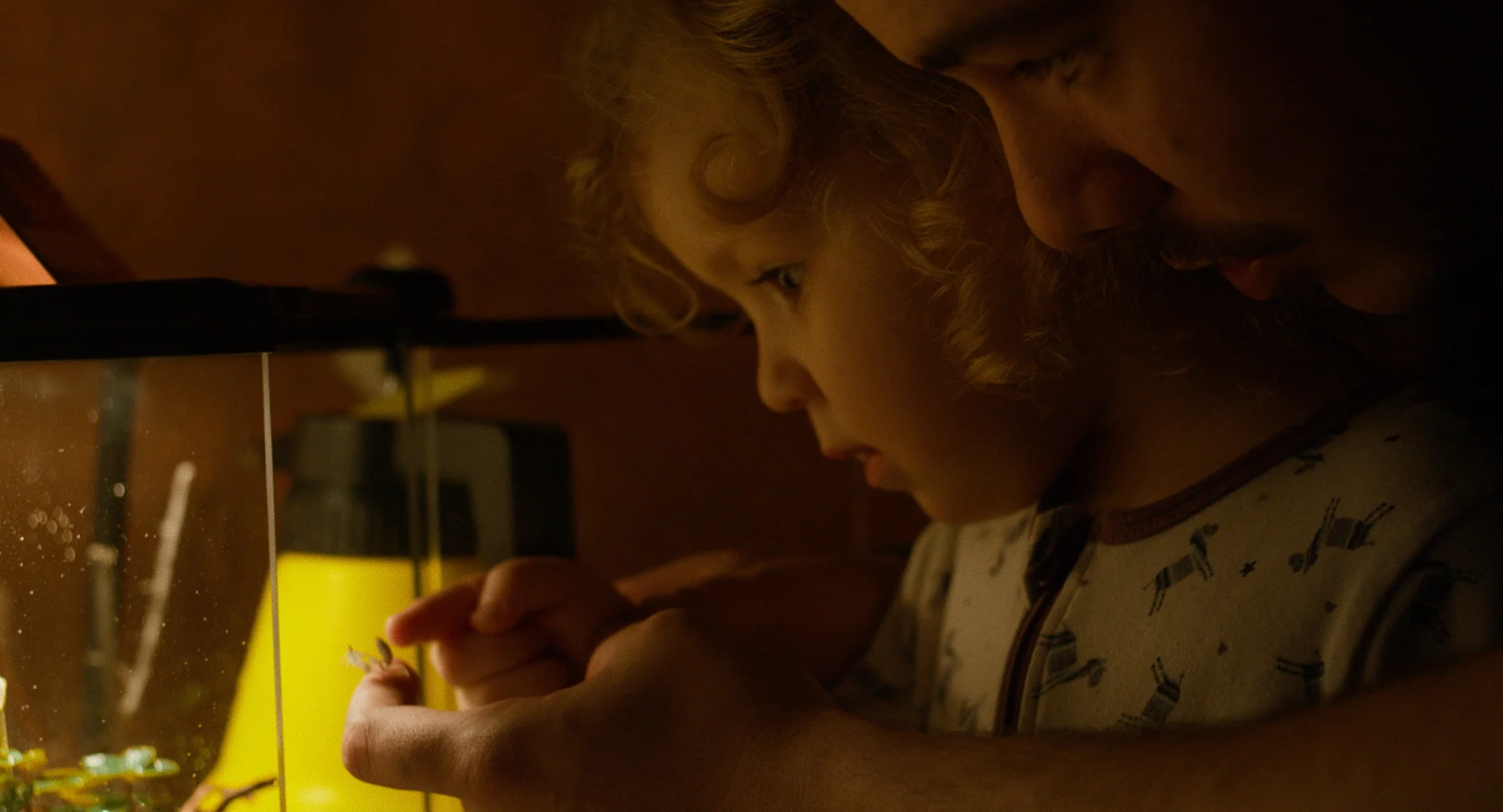 Die Papas hero banner image placeholder