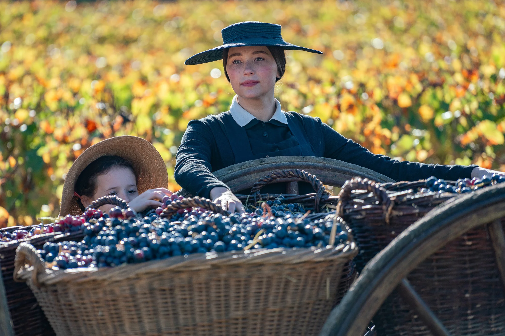 Widow Clicquot hero banner image placeholder