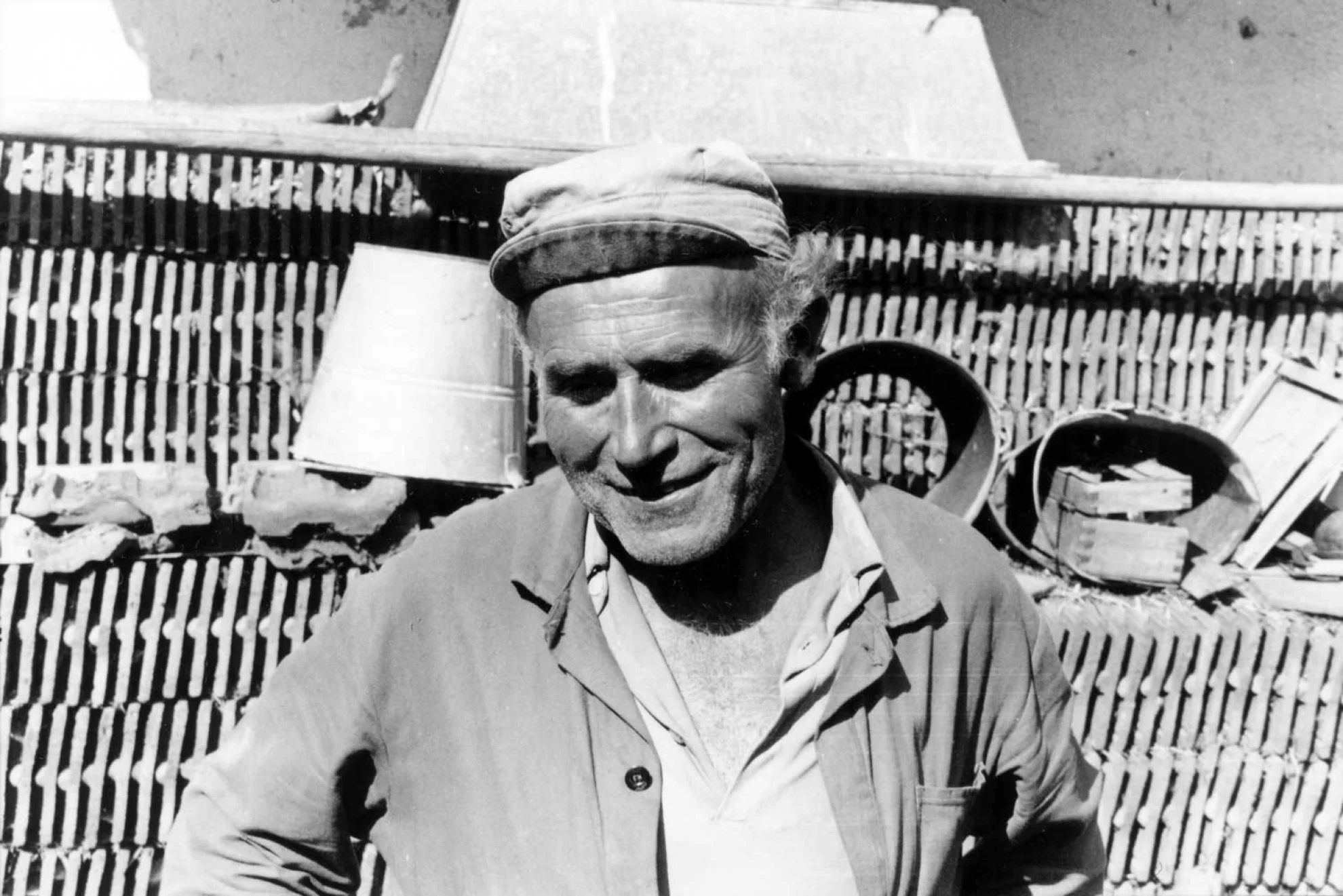 Der Tanz der blauen Vögel hero banner image placeholder