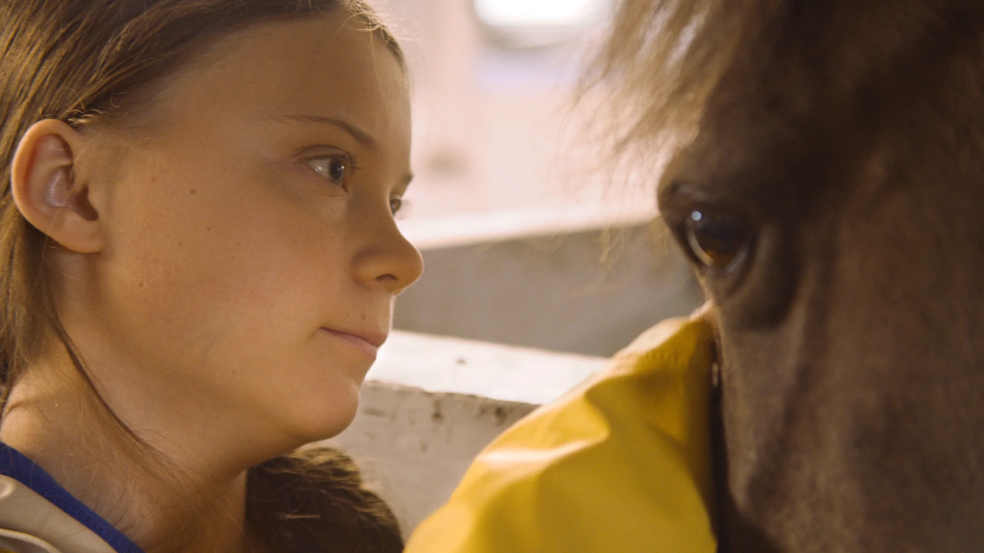 I am Greta hero banner image placeholder