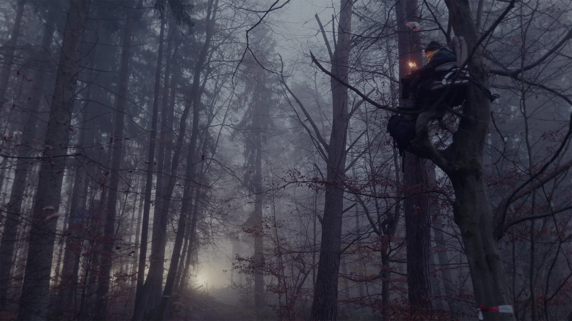 Preparations for a Miracle hero banner image placeholder