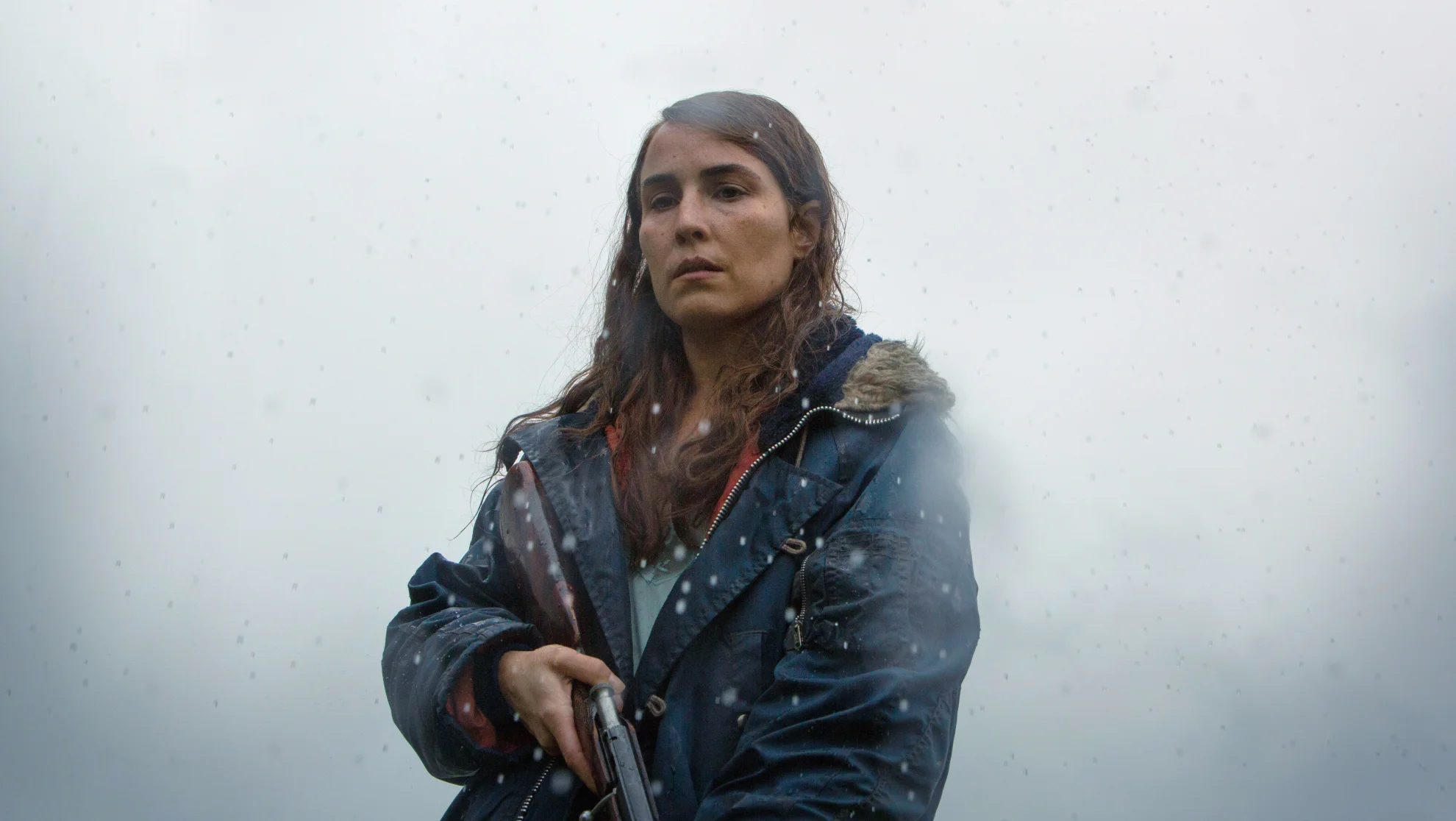 Lamb hero banner image