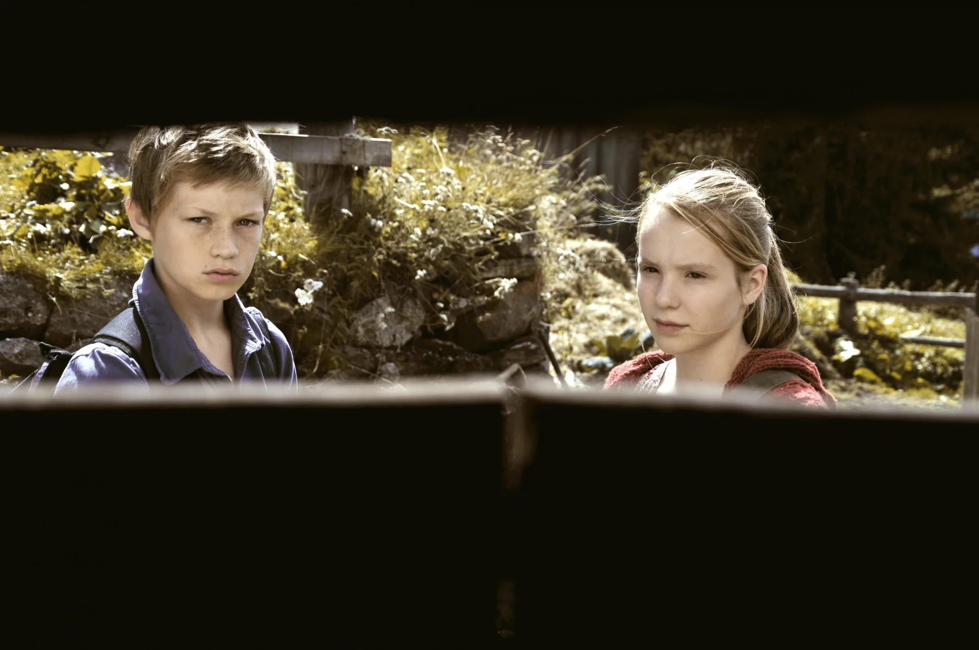 Clara und das Geheimnis der Bären hero banner image placeholder