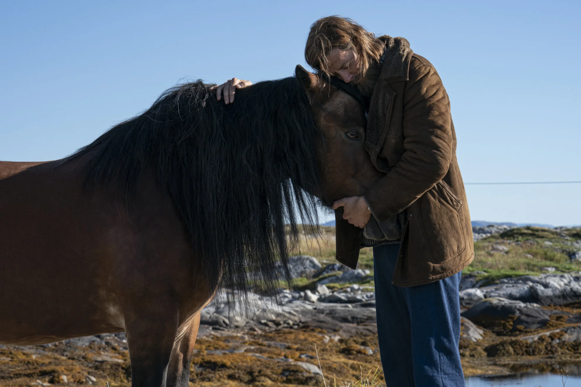 Everybody Hates Johan hero banner image placeholder