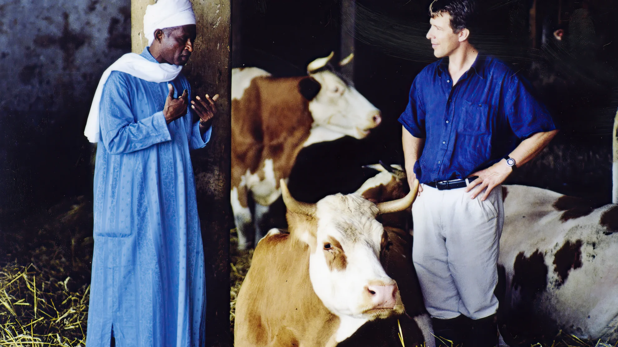 Q (Begegnungen Auf der Milchstrasse) hero banner image