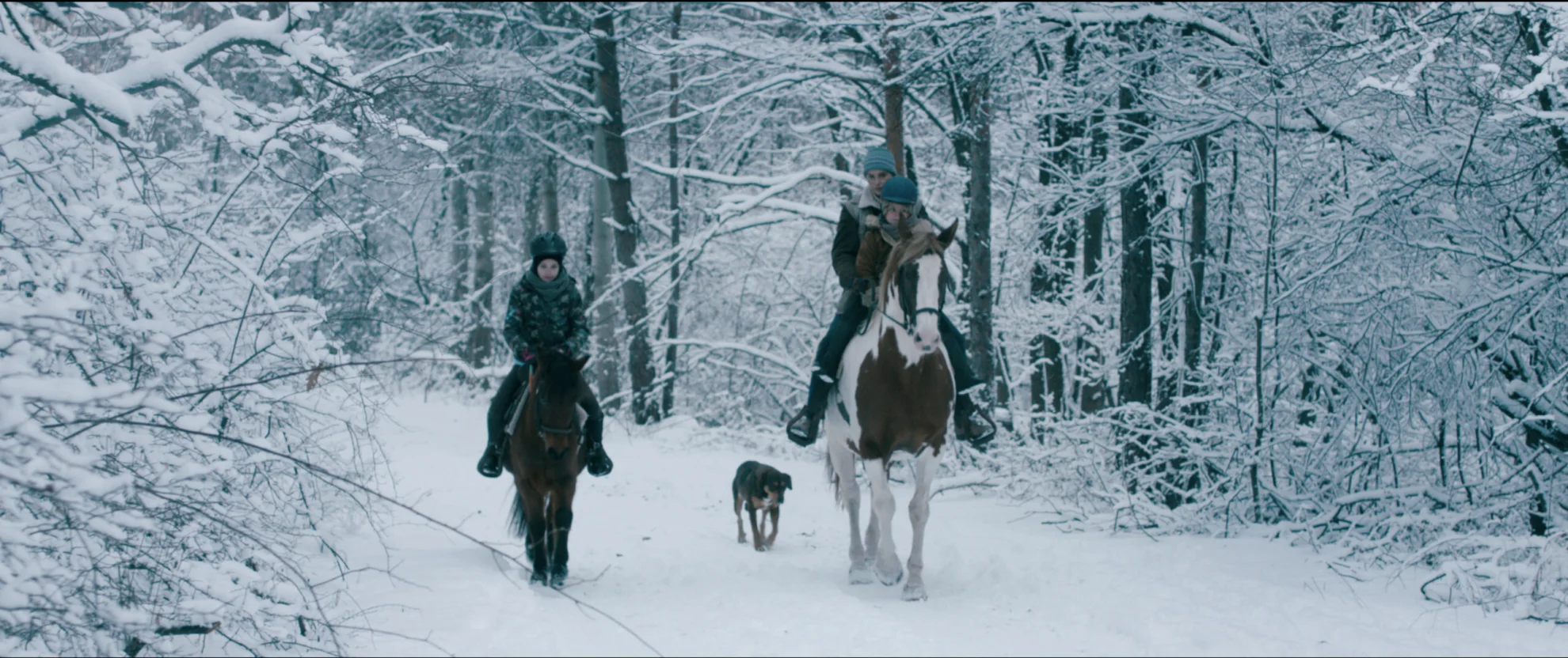 Pelikanblut - Alles für meine Tochter hero banner image placeholder