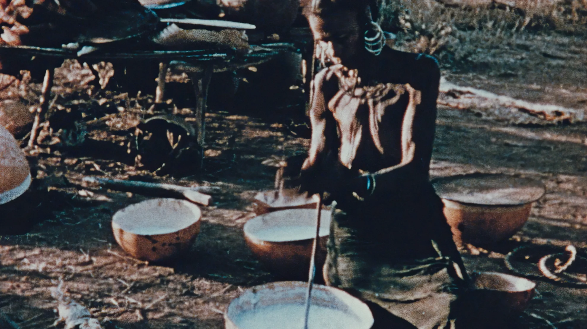 Henry Brandt en Afrique  hero banner image placeholder