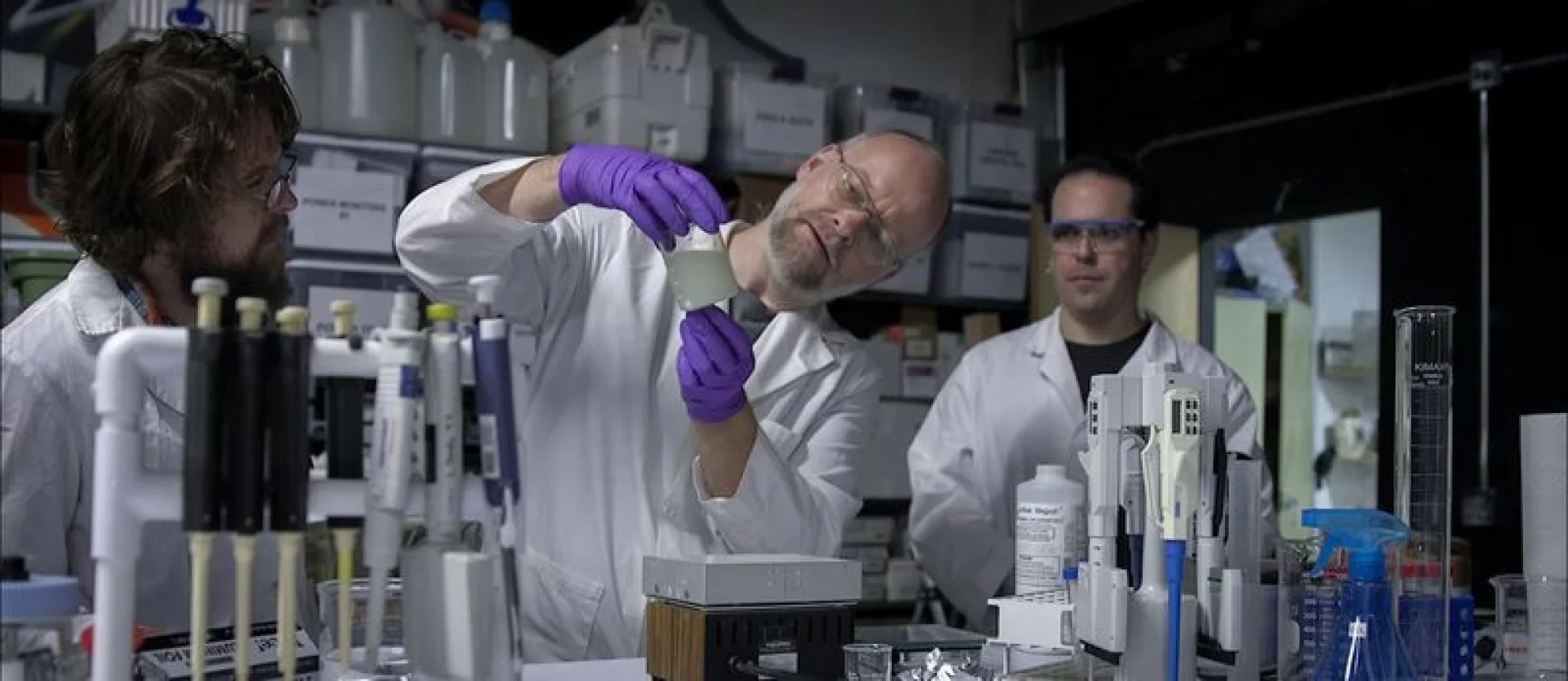 The End of Meat hero banner image placeholder