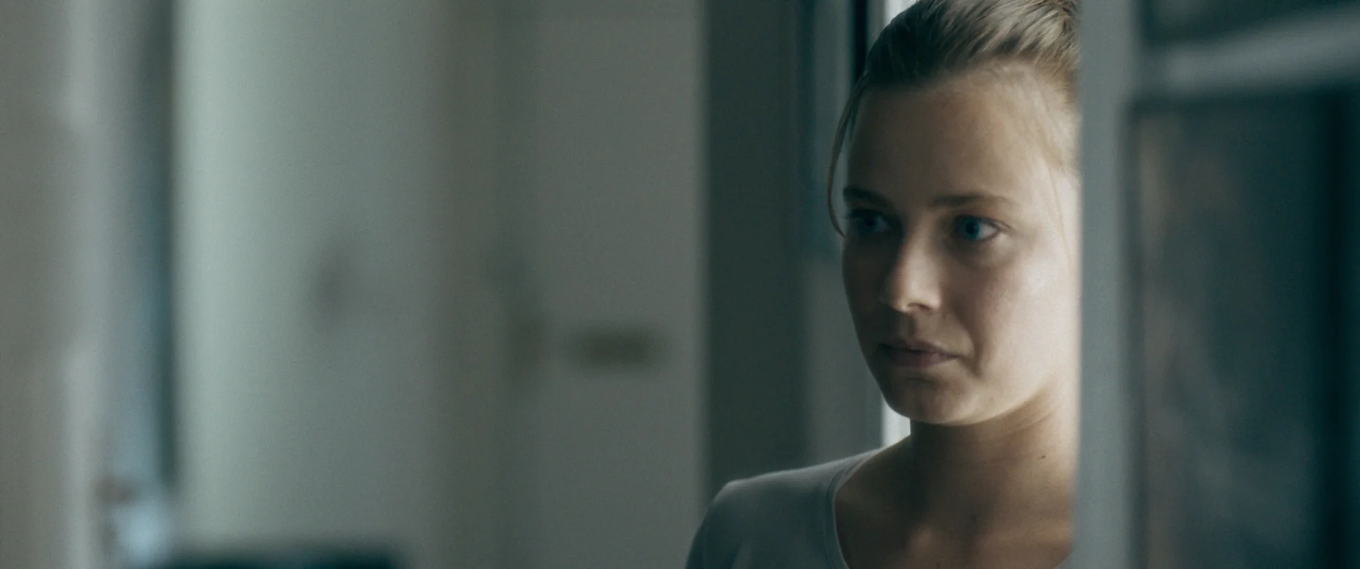 Zikaden hero banner image placeholder