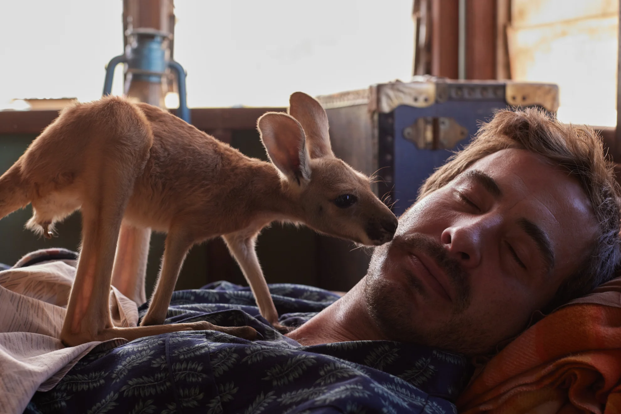 Lilly und die Kängurus hero banner image placeholder