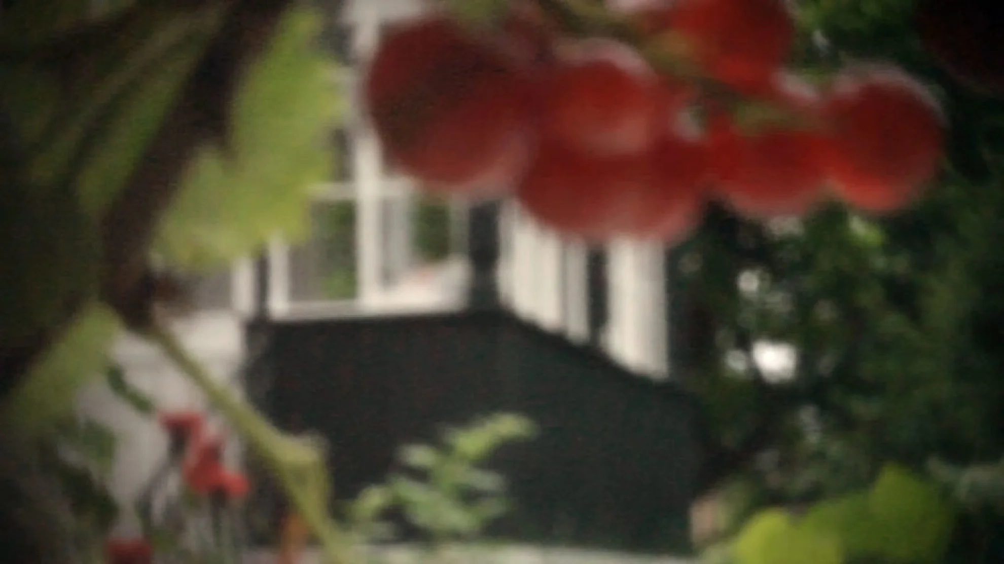 Apfel und Vulkan – Auf der Suche nach dem was bleibt hero banner image placeholder