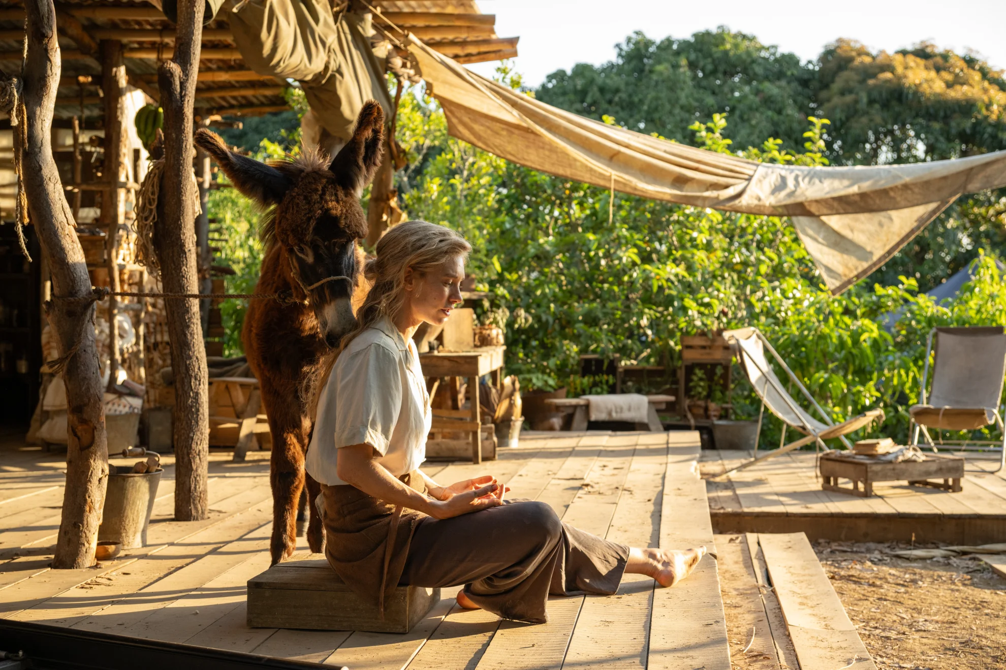 Eden hero banner image placeholder