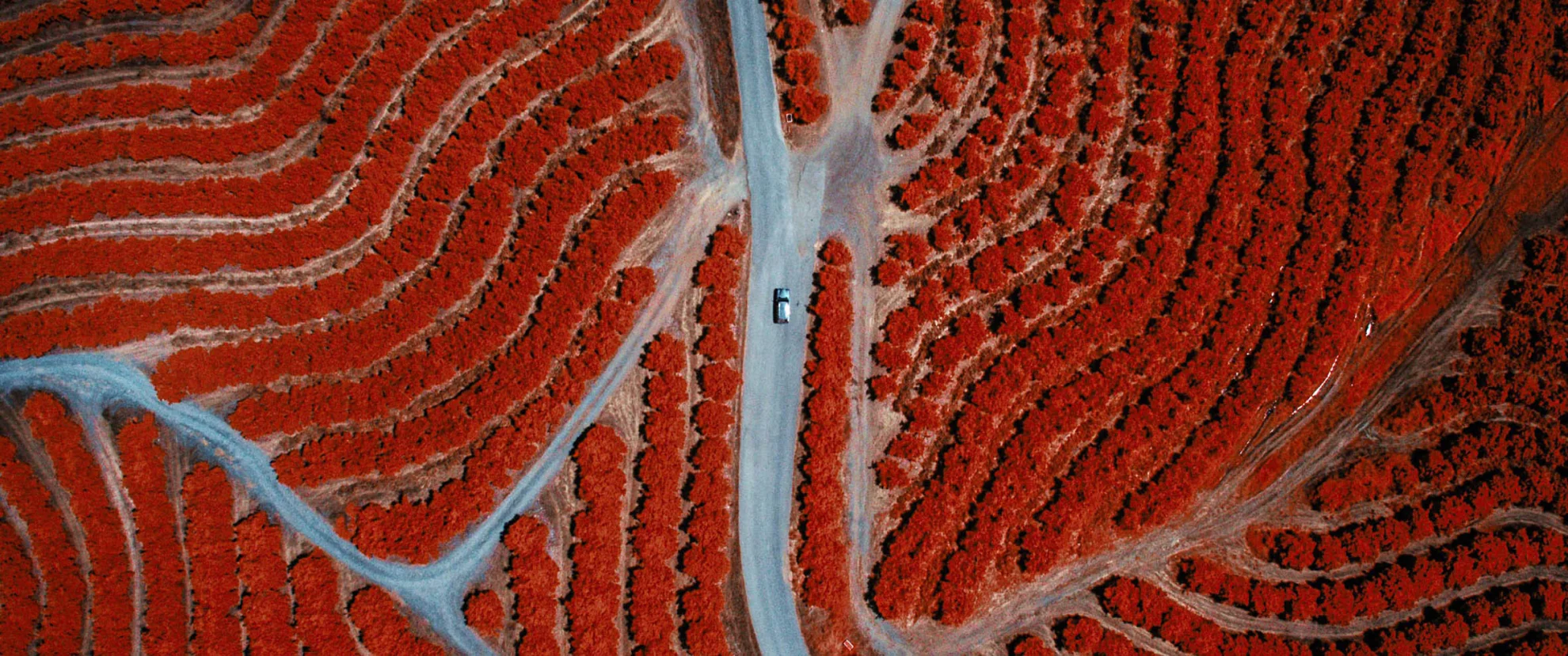 Everything Will Change hero banner image placeholder