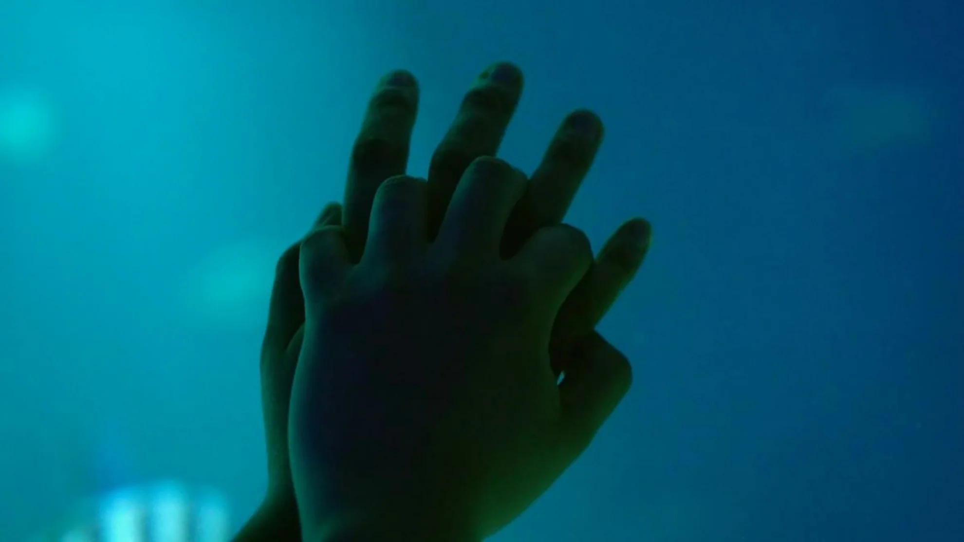 El silencio de mis manos hero banner image placeholder