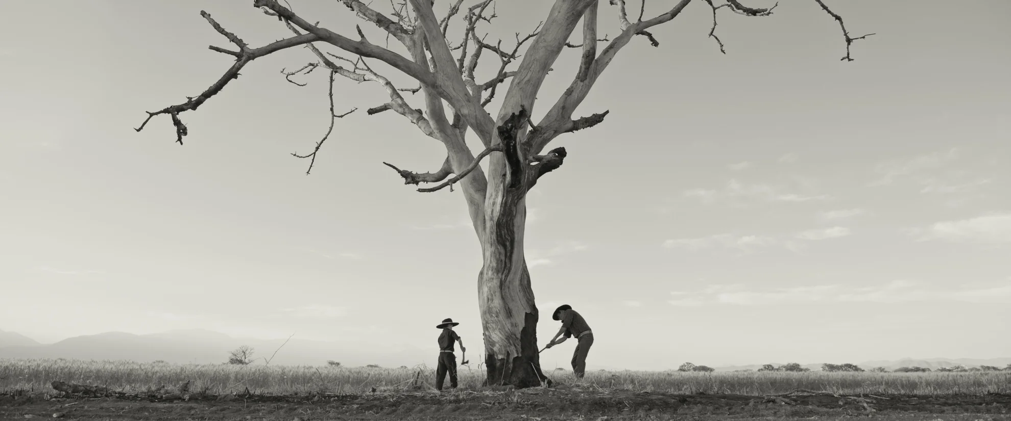 Gaucho Gaucho hero banner image placeholder