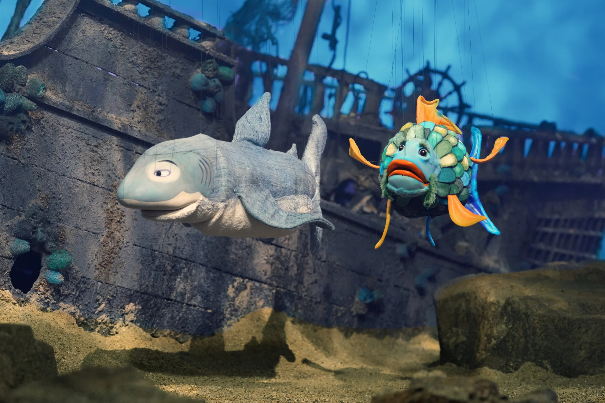 De Rägebogefisch hero banner image placeholder