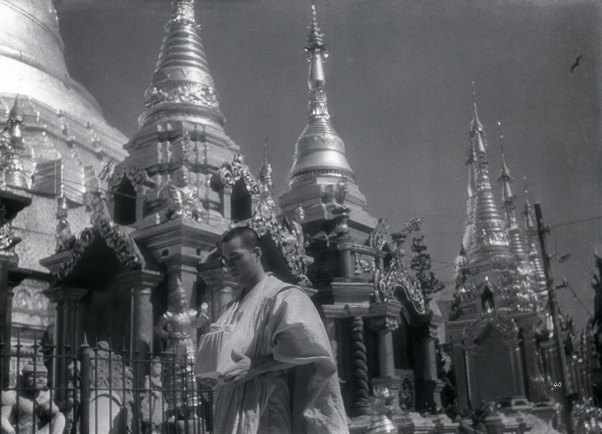 The Burmese Harp hero banner image placeholder