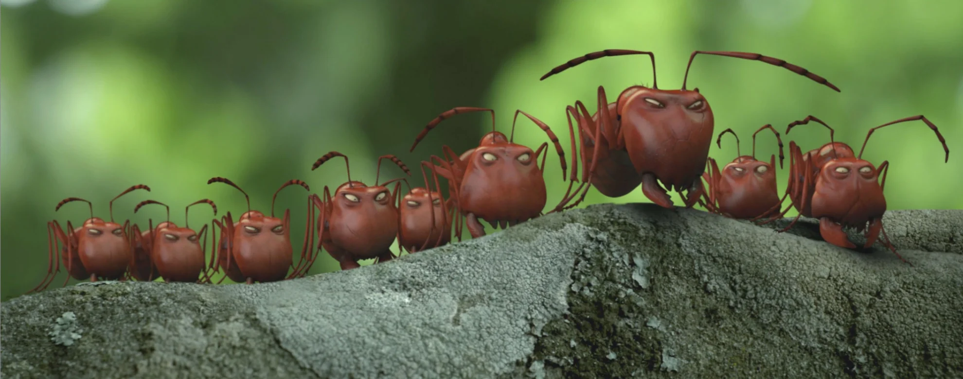 Minuscule - Kleine Helden hero banner image placeholder