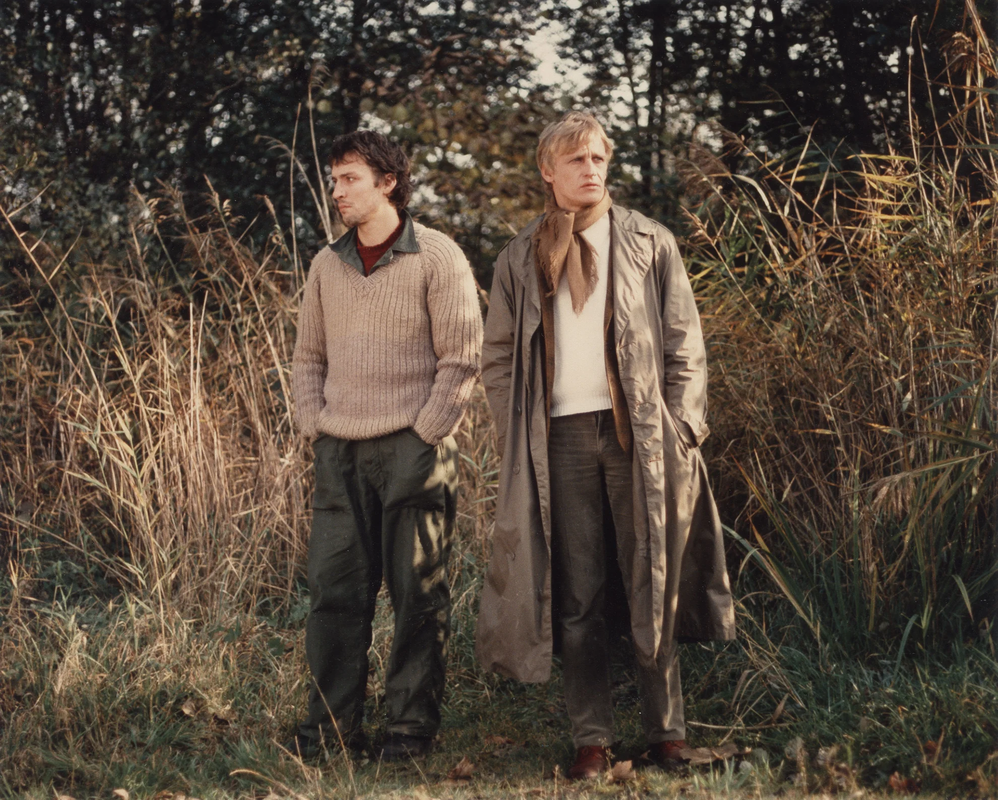 Alexandre hero banner image