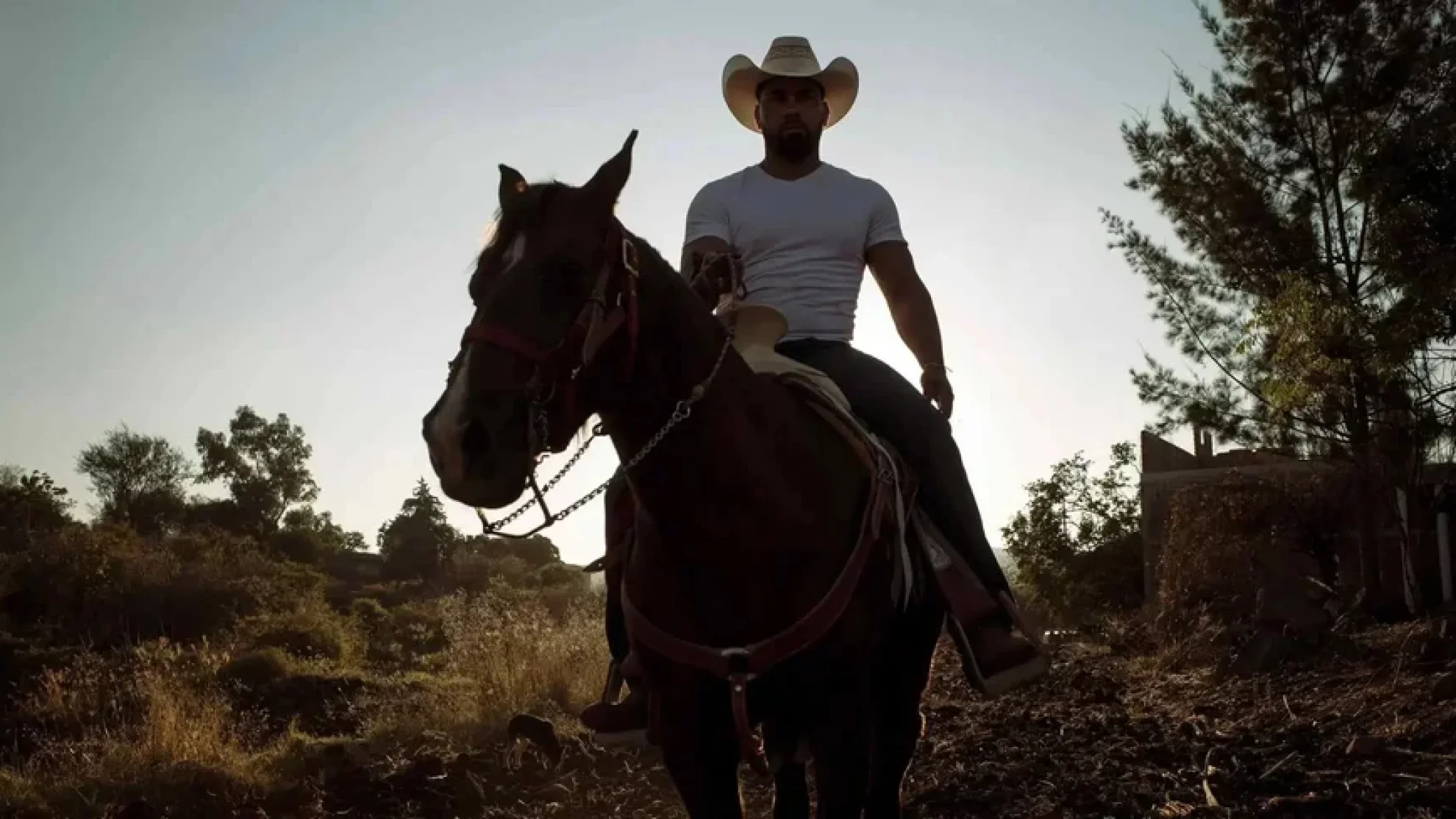 Jaripeo hero banner image placeholder