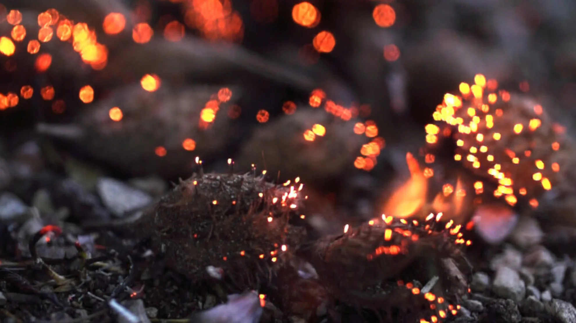 Zwischenwelten hero banner image placeholder