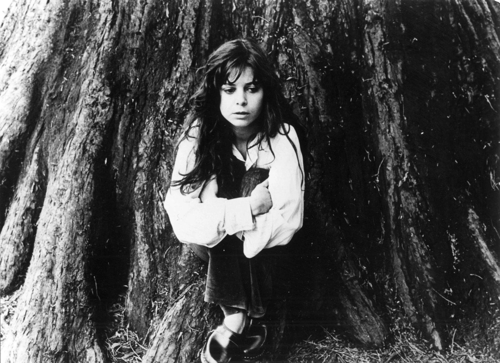 Le grand soir hero banner image