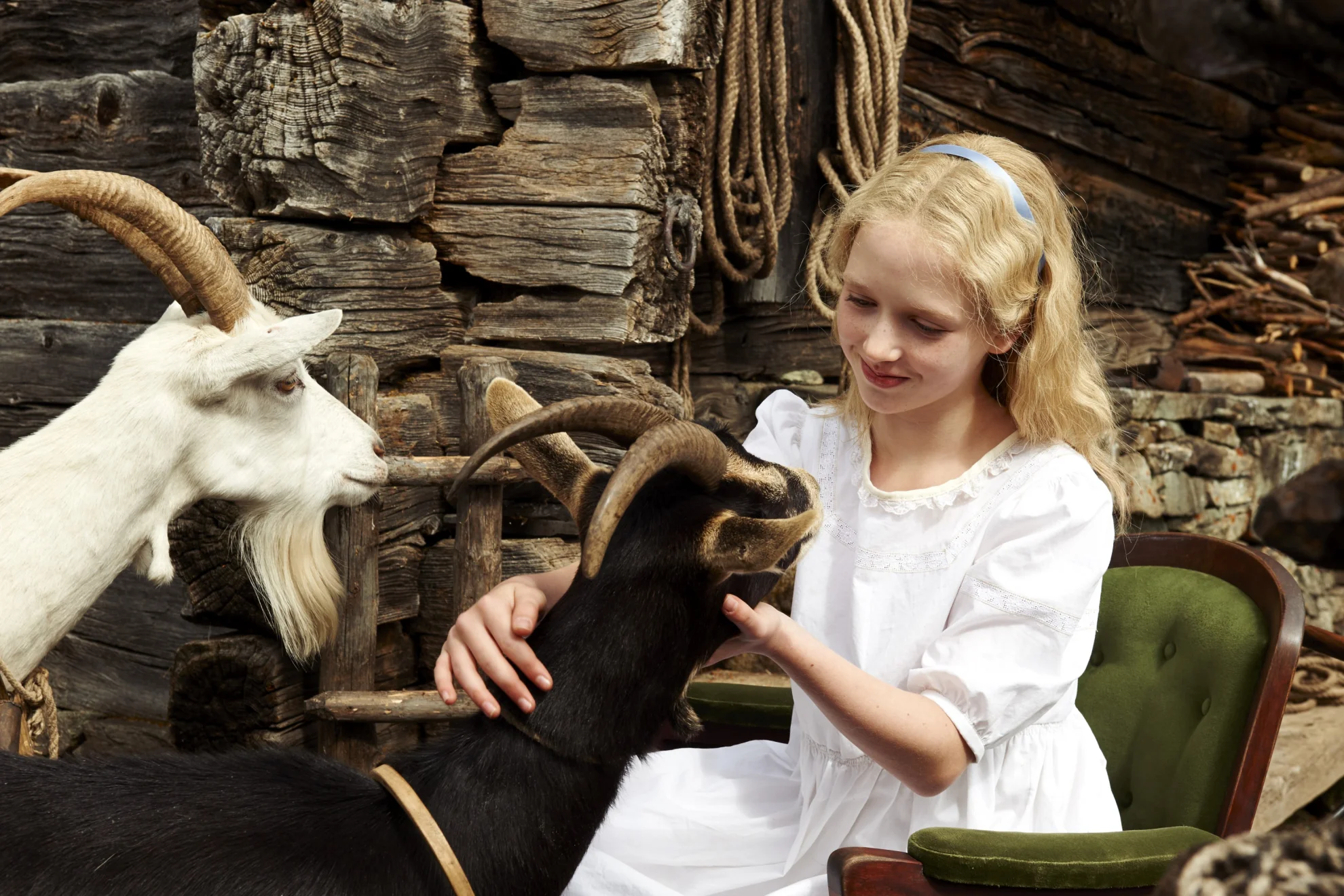 Heidi (2015) hero banner image placeholder