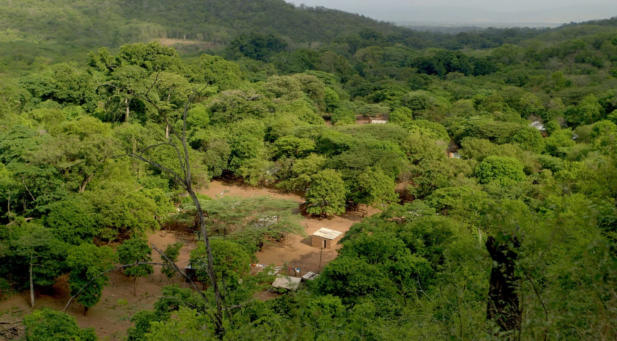 La buena vida hero banner image placeholder