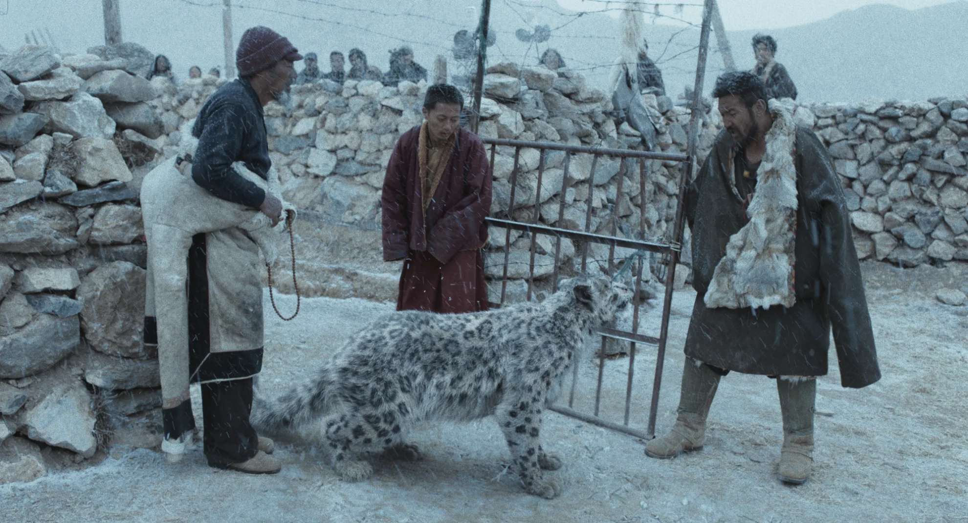 Tibet Film Festival 2024 hero banner image
