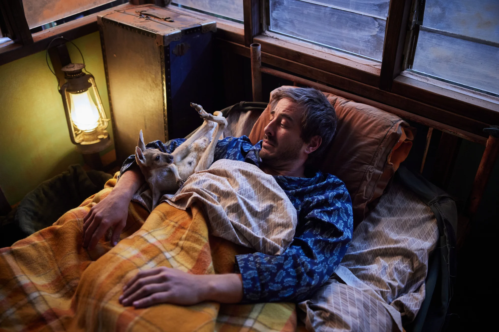 Lilly und die Kängurus hero banner image placeholder