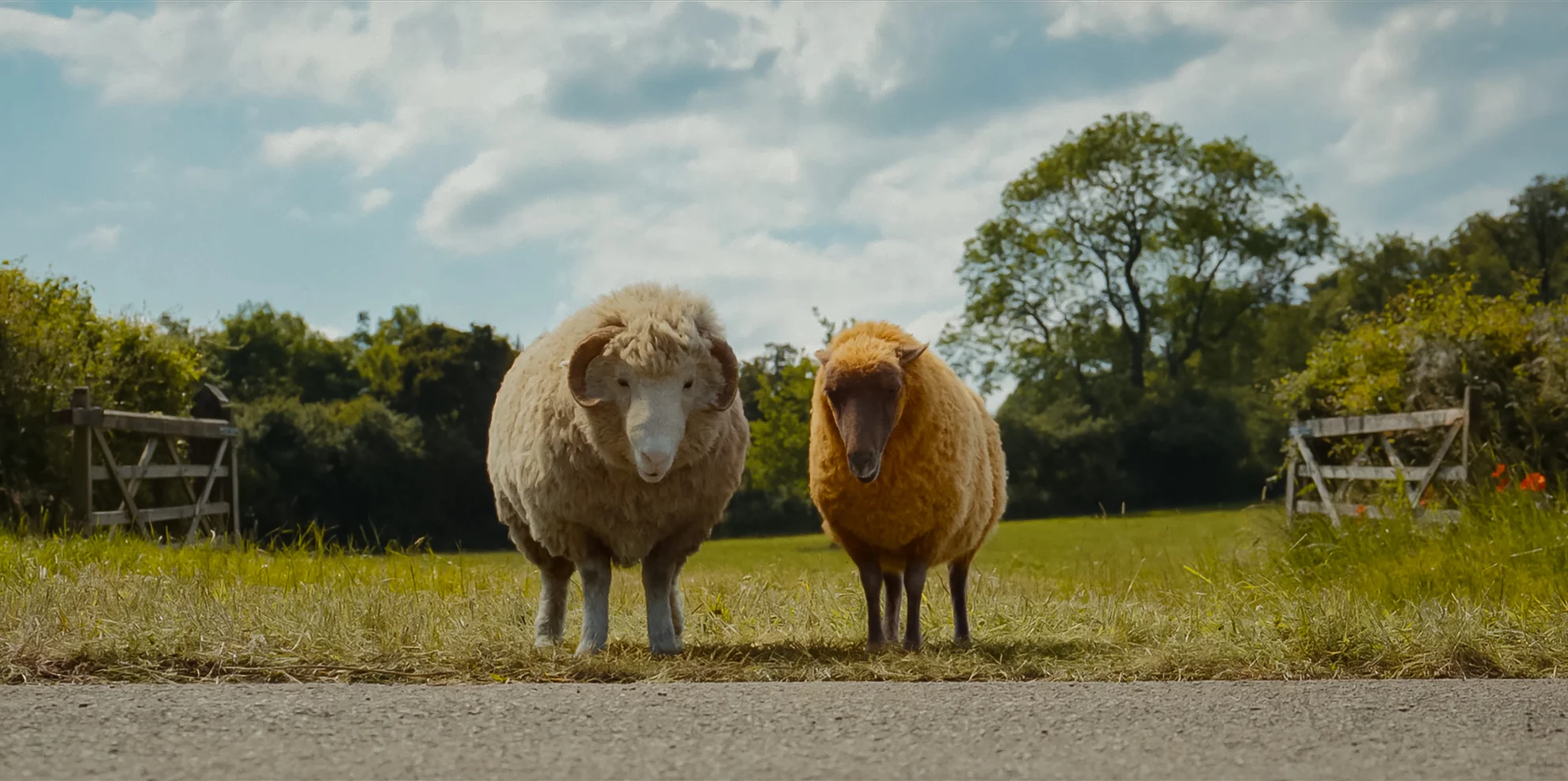 The Sheep Detectives hero banner image placeholder