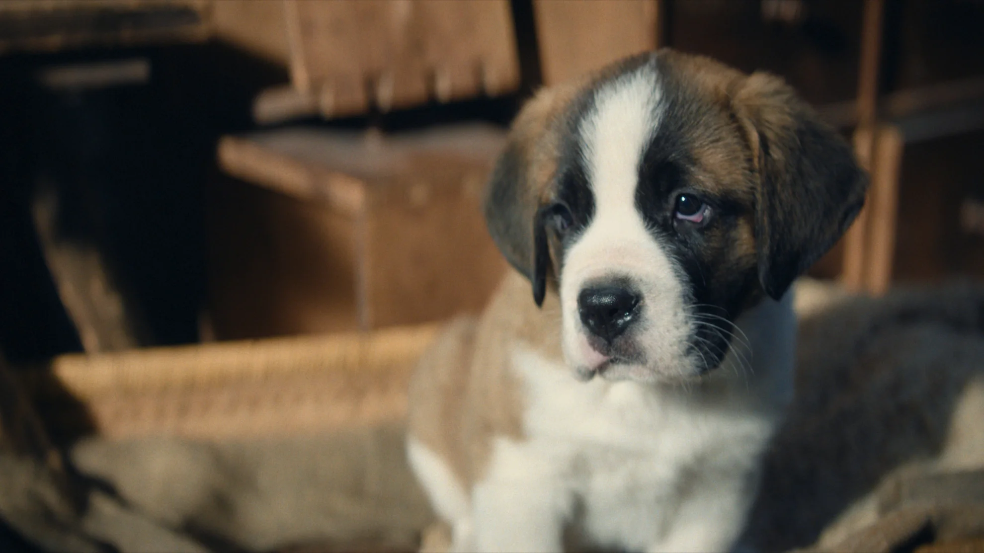 Mein Freund Barry hero banner image placeholder