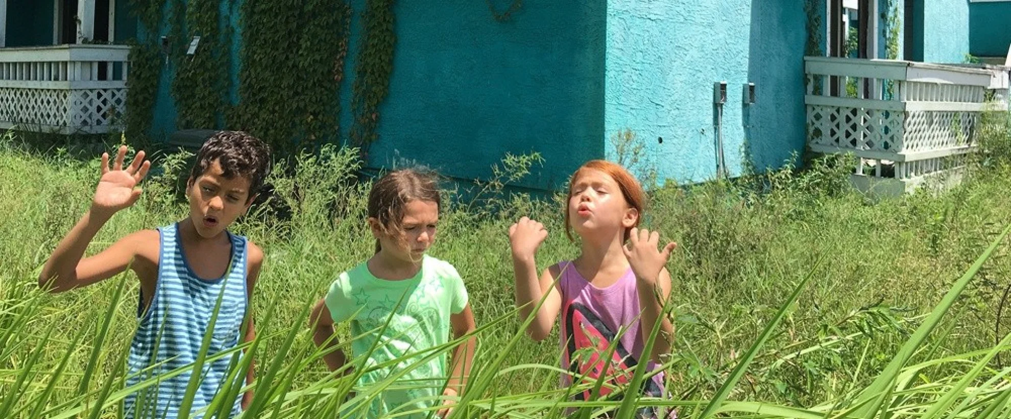 The Florida Project hero banner image placeholder