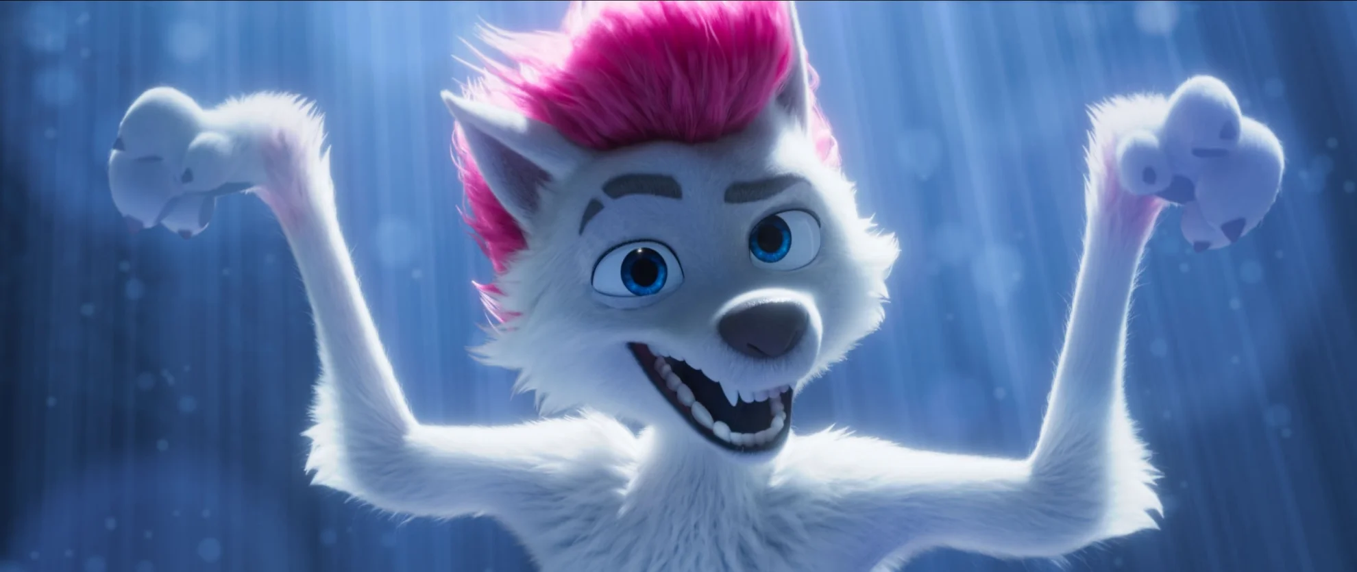 200% Wolf hero banner image placeholder