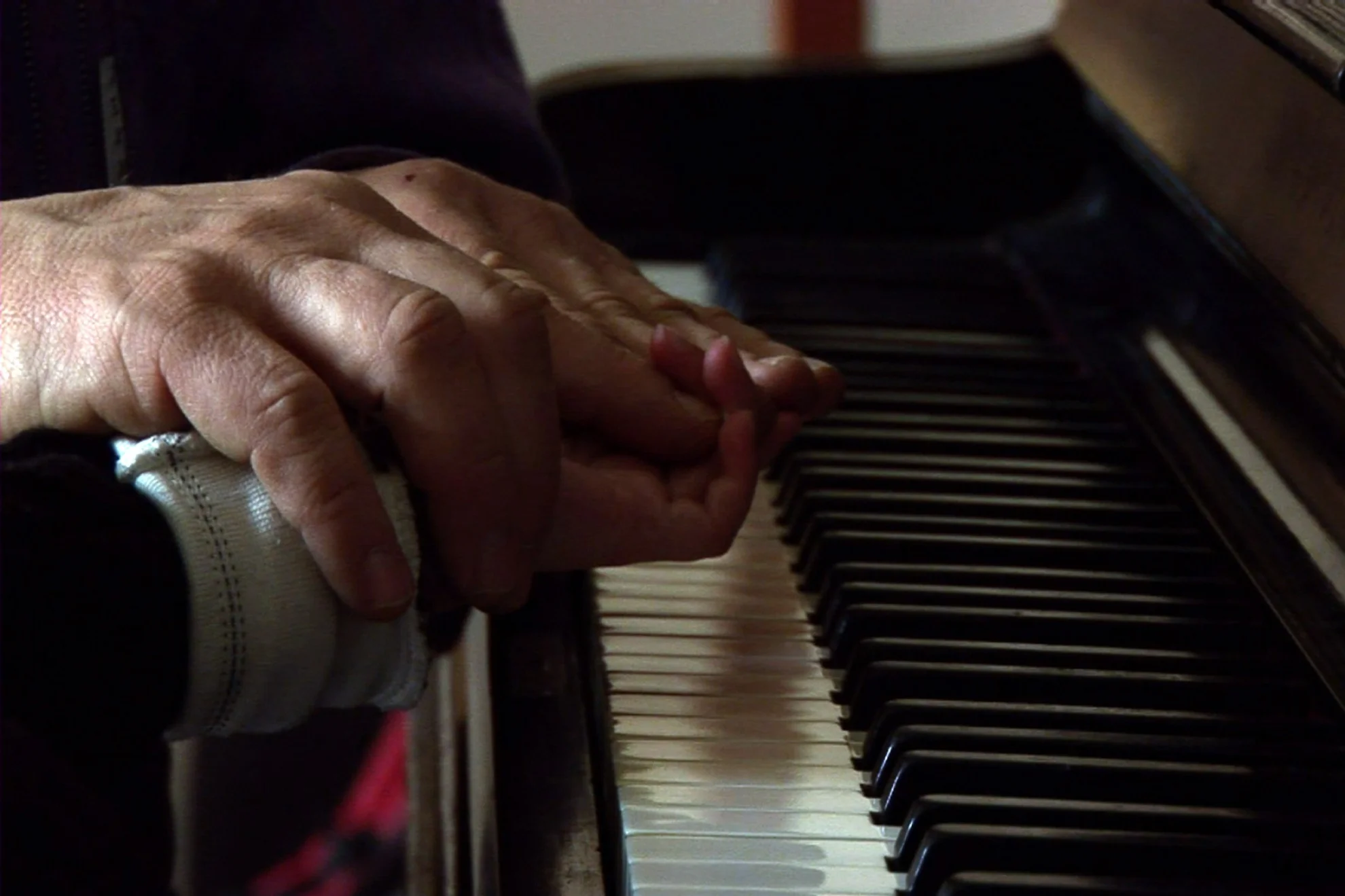 Nel giardino dei suoni hero banner image placeholder