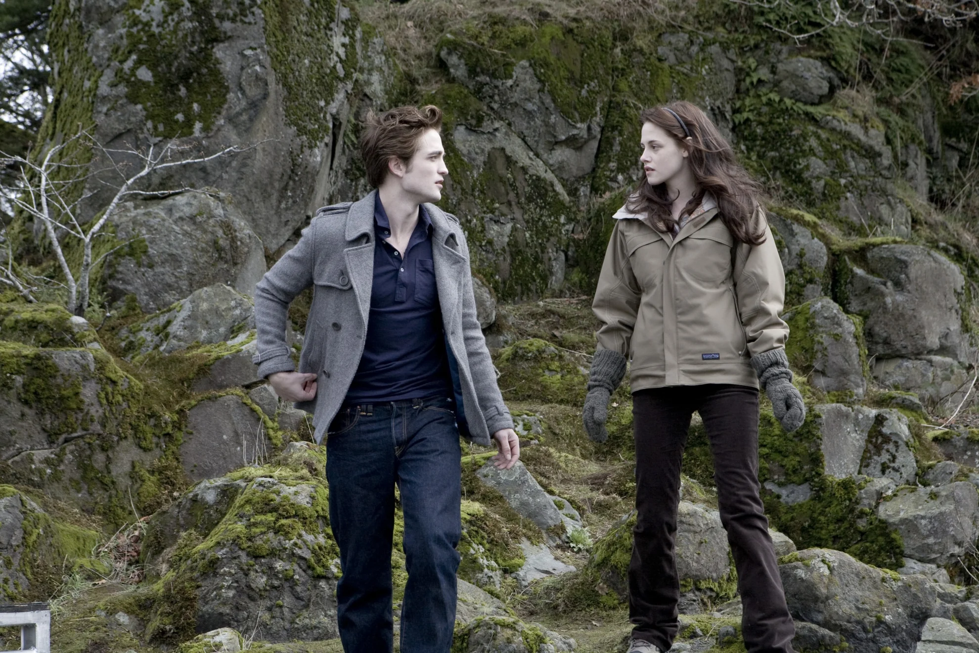 Twilight hero banner image placeholder