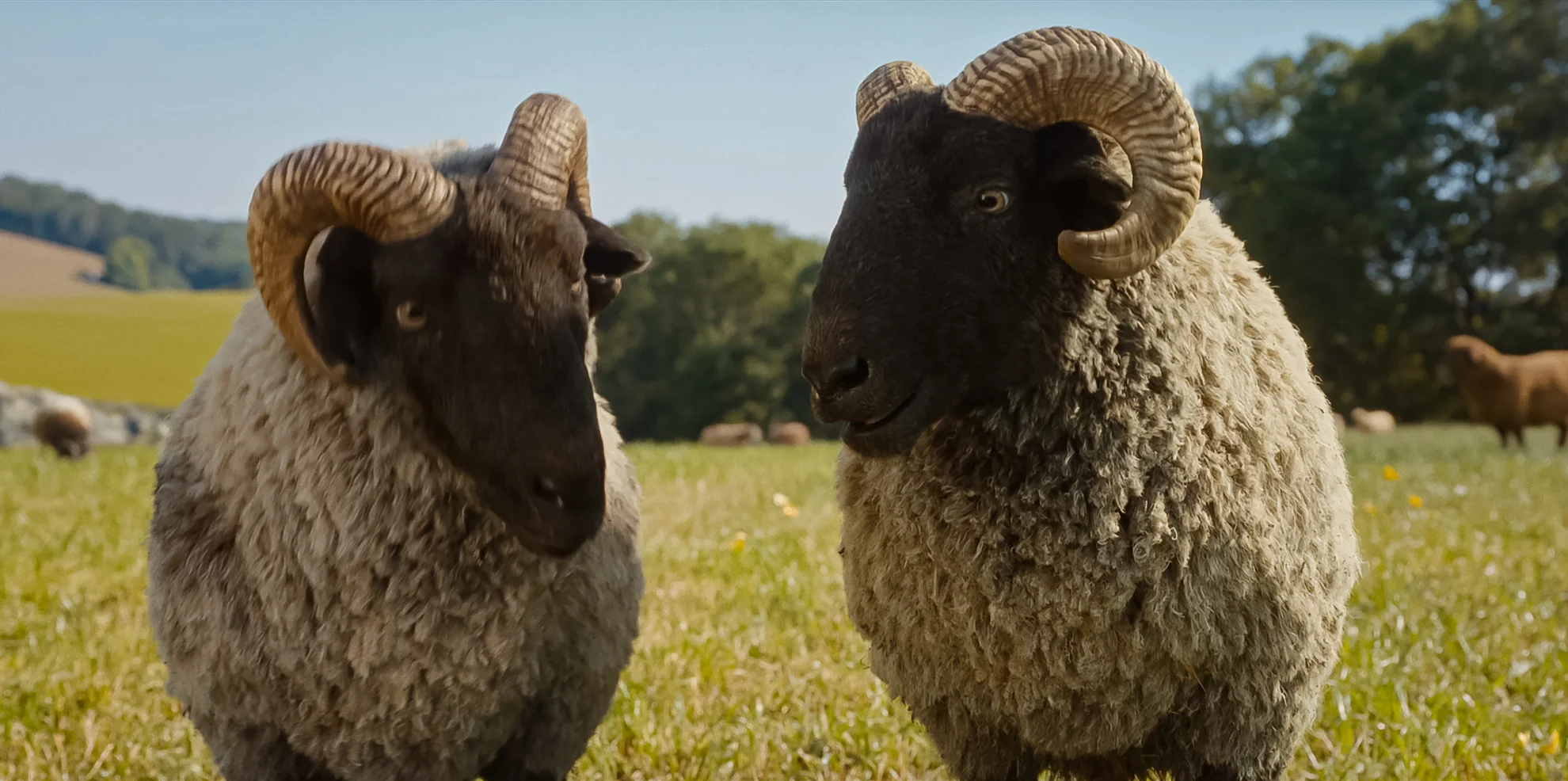 The Sheep Detectives hero banner image placeholder