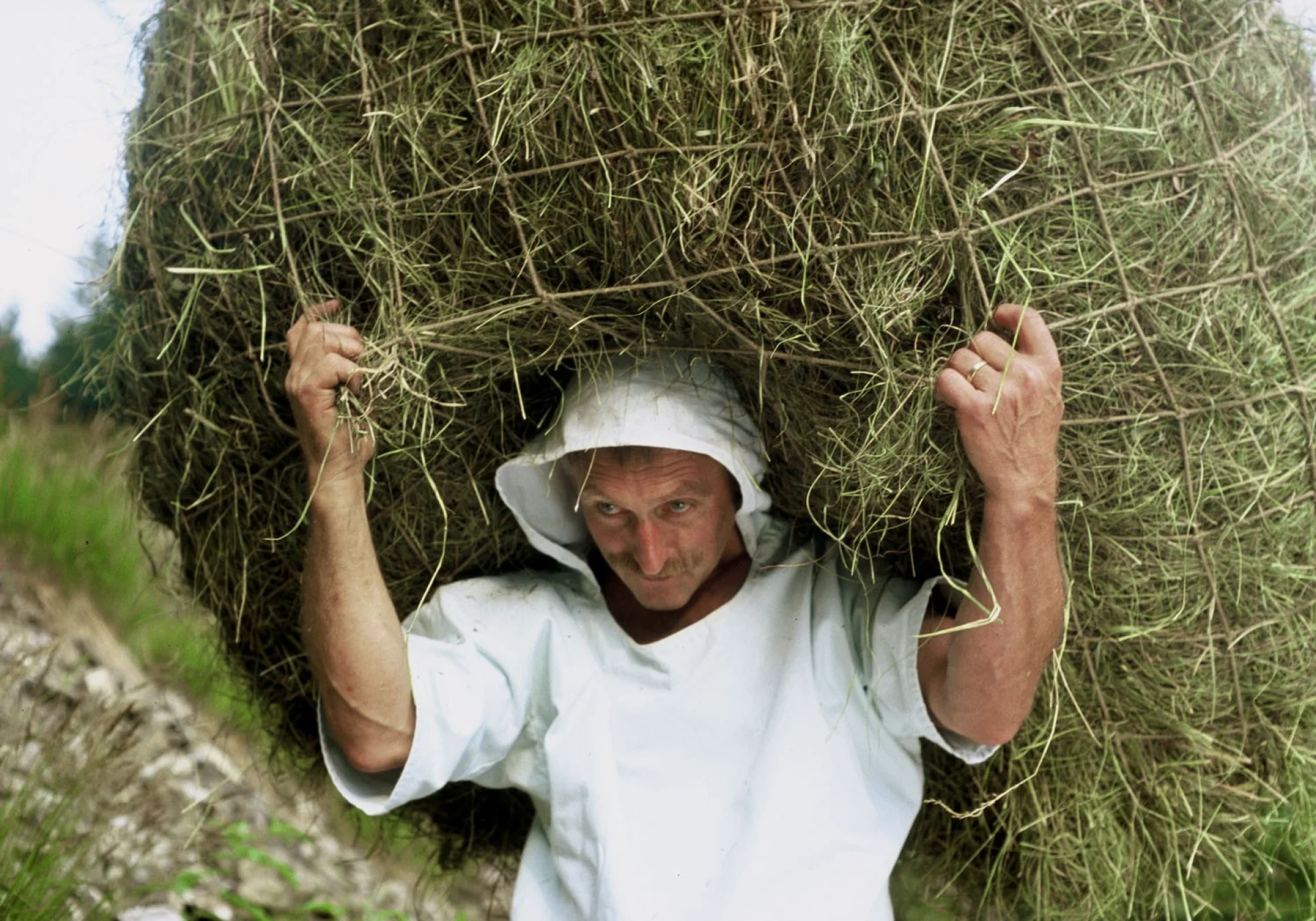 Das Erbe der Bergler (Restaurierte Fassung) hero banner image placeholder
