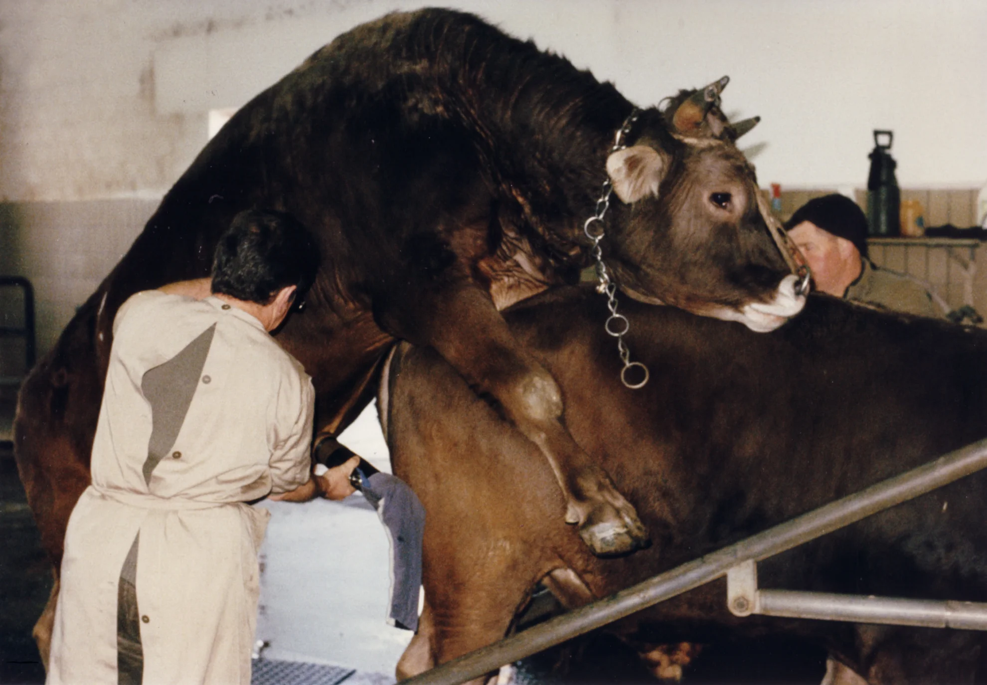 Bauernkrieg hero banner image placeholder