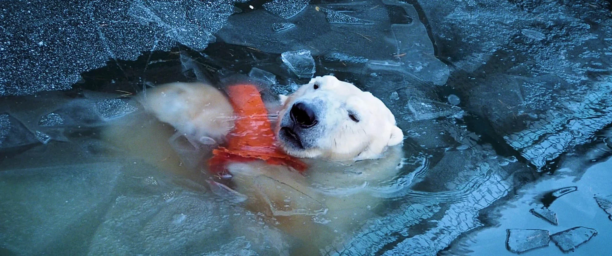 Everything Will Change hero banner image placeholder